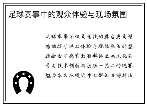 足球赛事中的观众体验与现场氛围