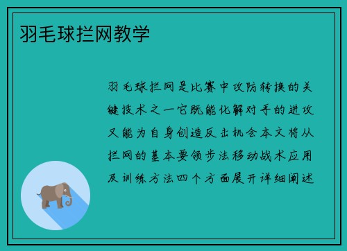 羽毛球拦网教学