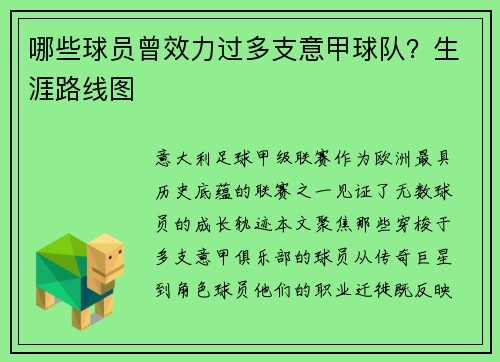 哪些球员曾效力过多支意甲球队？生涯路线图