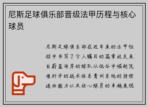 尼斯足球俱乐部晋级法甲历程与核心球员